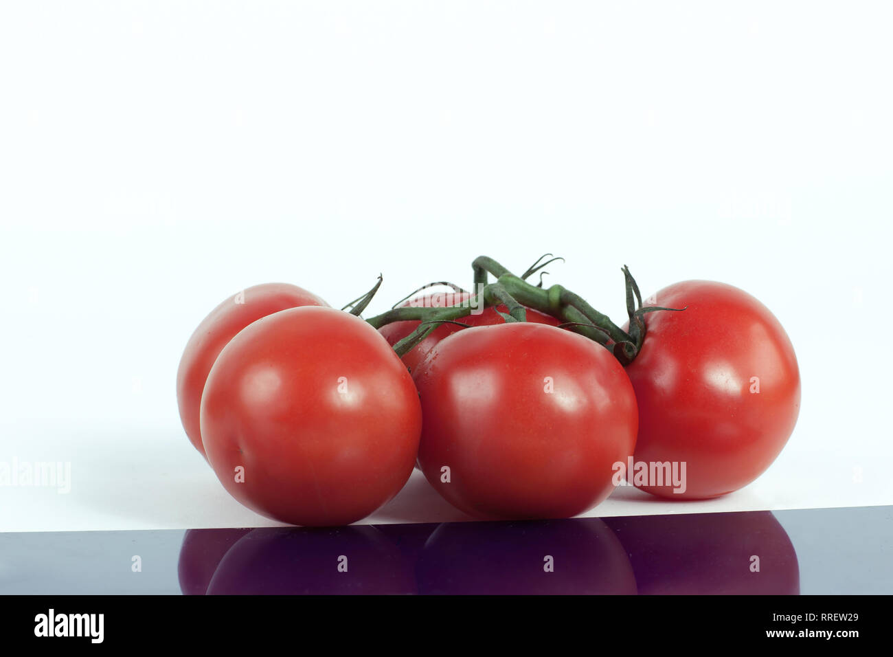 tomatoes on a branch .isolated white background Stock Photo - Alamy
