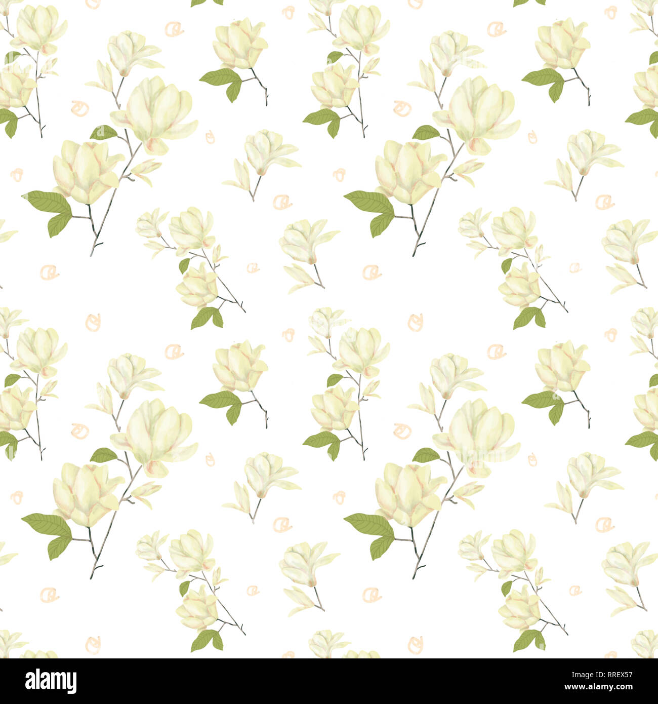 Download Magnolia Digital Clip Art Watercolor Flowers Yellor Flower Illustration Flowers Illustration Similar Stock Photo Alamy