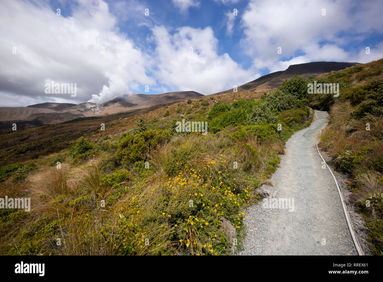 The landscape of the Tongariro walking route, New Zealand. Stock Photo