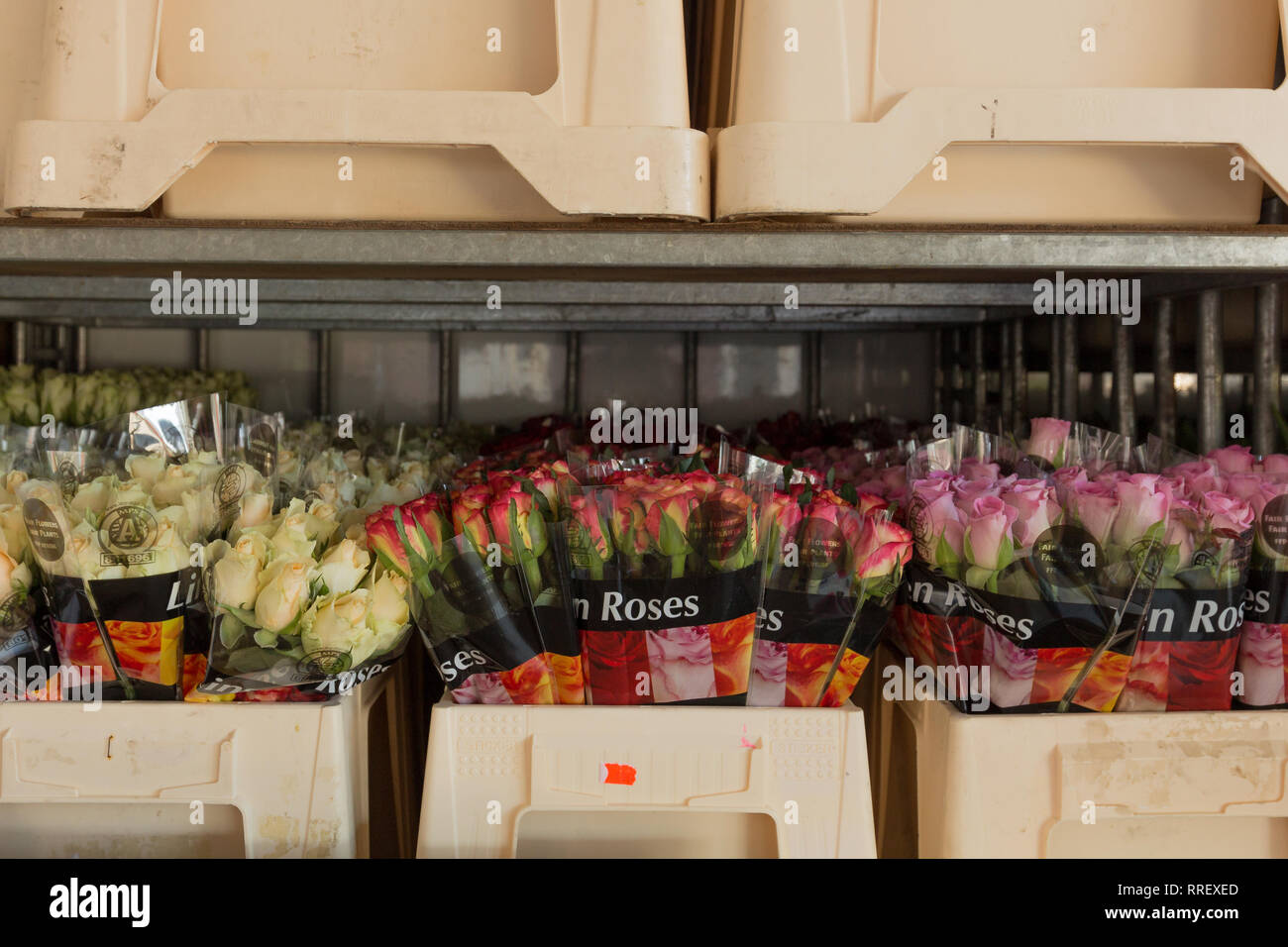 Dutch flower truck hires stock photography and images Alamy