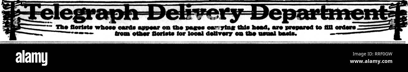 . Florists' review [microform]. Floriculture. JuNH 24, 1920 The Florists^ Review 85. MICHIGAN ORDERS WILL BE CAREFULLY CARED FOR BY HENRY SMITH GRAND RAPIDS WHOLESALE AND RETAIL FLORIST. Member F. T. D. 200.000 FEET OF GLASS DEVOTED TO FLOWERS AND PLANTS. GRAND RAPIDS ARTHUR F. CRABB F.T.D. Member. 13Jeflferson Ave.,S. Serving all West Michigan Towns FLINT, MICH. MEMBER F. T. D.. Please note that these images are extracted from scanned page images that may have been digitally enhanced for readability - coloration and appearance of these illustrations may not perfectly resemble the original wor Stock Photo