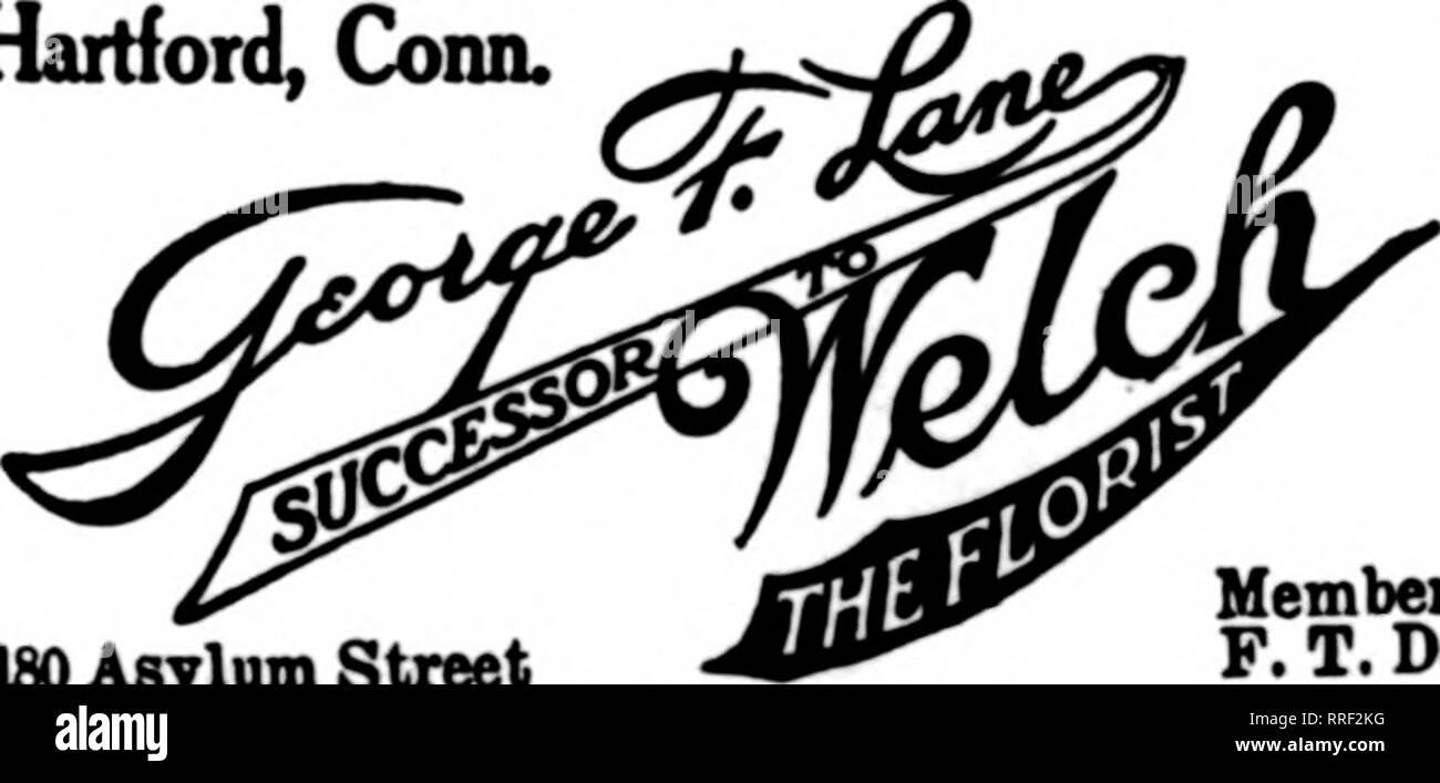 . Florists' review [microform]. Floriculture. Menb«rrk&gt;itati' Hartford, Conn. GEORGE G. McCLUNIE 165 Main Street Established 1897 Member F. T. D. Hartford, Conn.. ISO Asylum Street Member F. T. D. New Haven, Conn. &amp;c cH^^???- CO. Yale College tVve Covering Ail Connecticut BRIDGEPORT, CONN. James Horan &amp; Son 943 MAIN STREET Largest Growers in this District. MXMBKBS FlX&gt;BI8T8' TlLKOBAPB DKUTKBT. Providence, Rhode Island Johnston Brothers LEADING FLORISTS 38 DORRANCE STREET Member Florists' Telegraph Delivery Ass'n. Hartford, Conn. J. Albert Brodrib, Isg Mam street DeHveries to New  Stock Photo