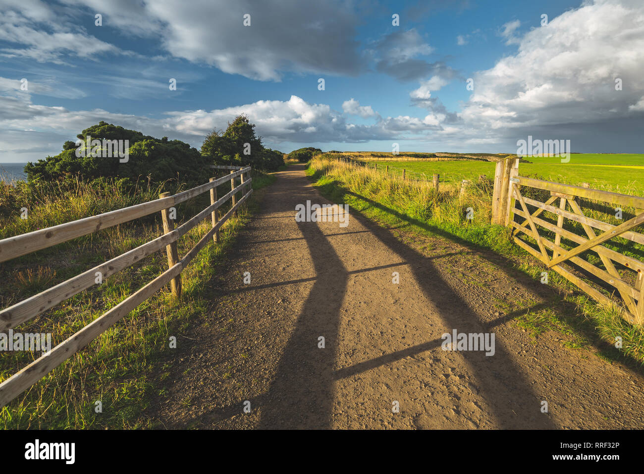 Countryside road with wooden fence. Northern Ireland landscape. The country driveway passing