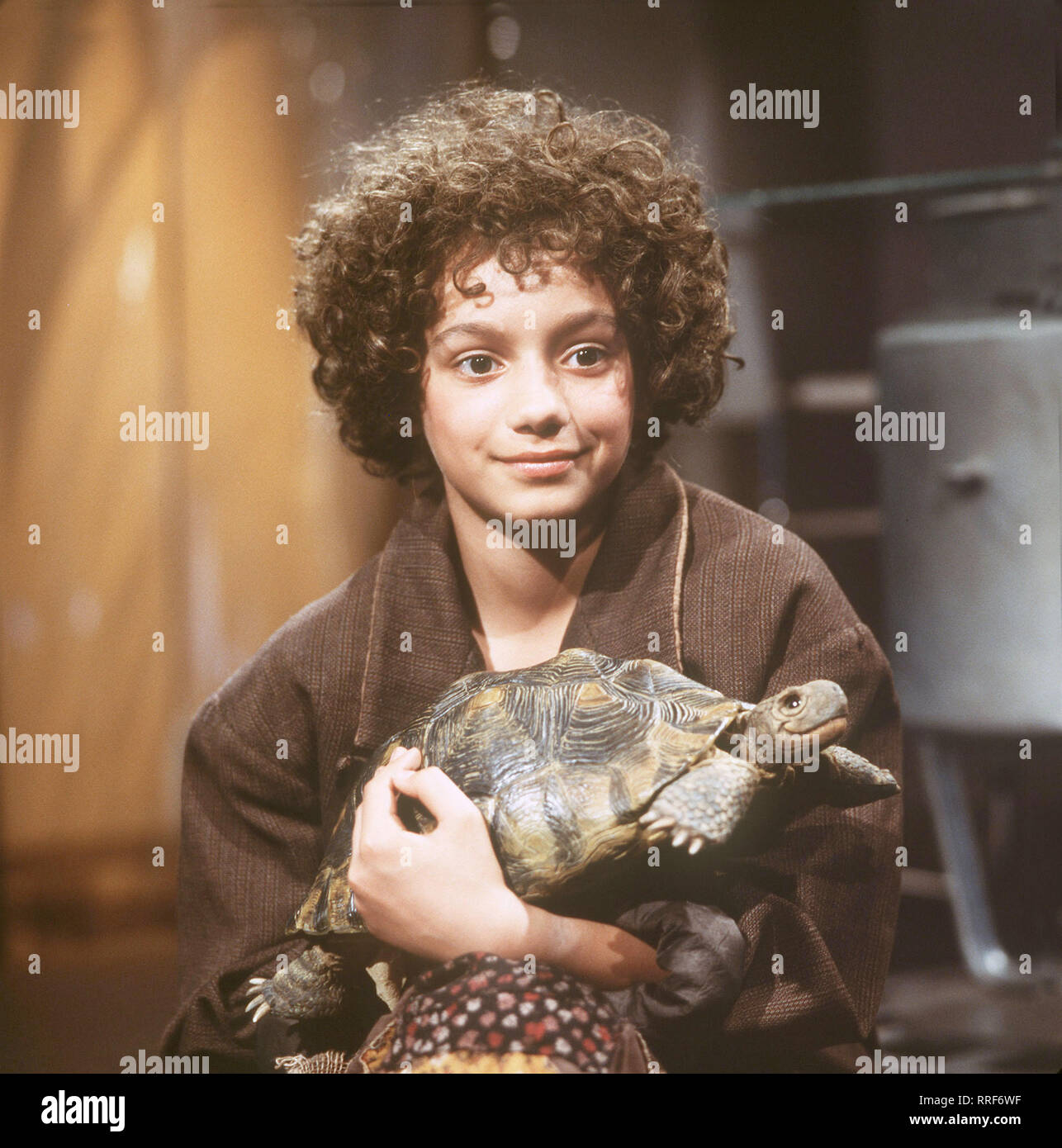 全国宅配無料 stock hi-res 1986 Momo photography Alamy - images and その他