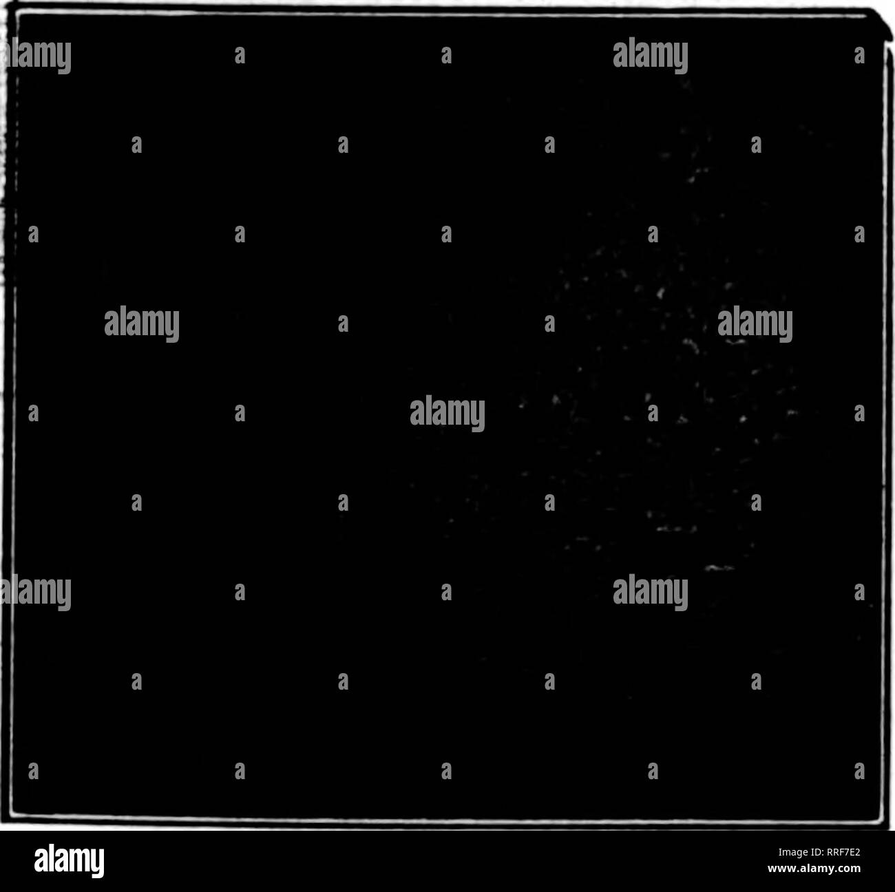 00 Grade Black And White Stock Photos Images Alamy