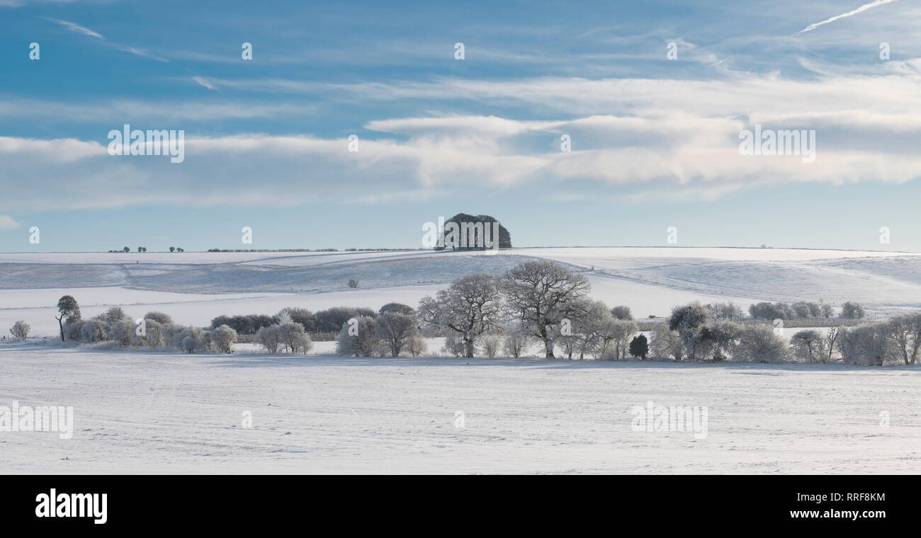 Snow covered winter landscape and frost covered hedgerow in Avebury, Wiltshire, England Stock Photo