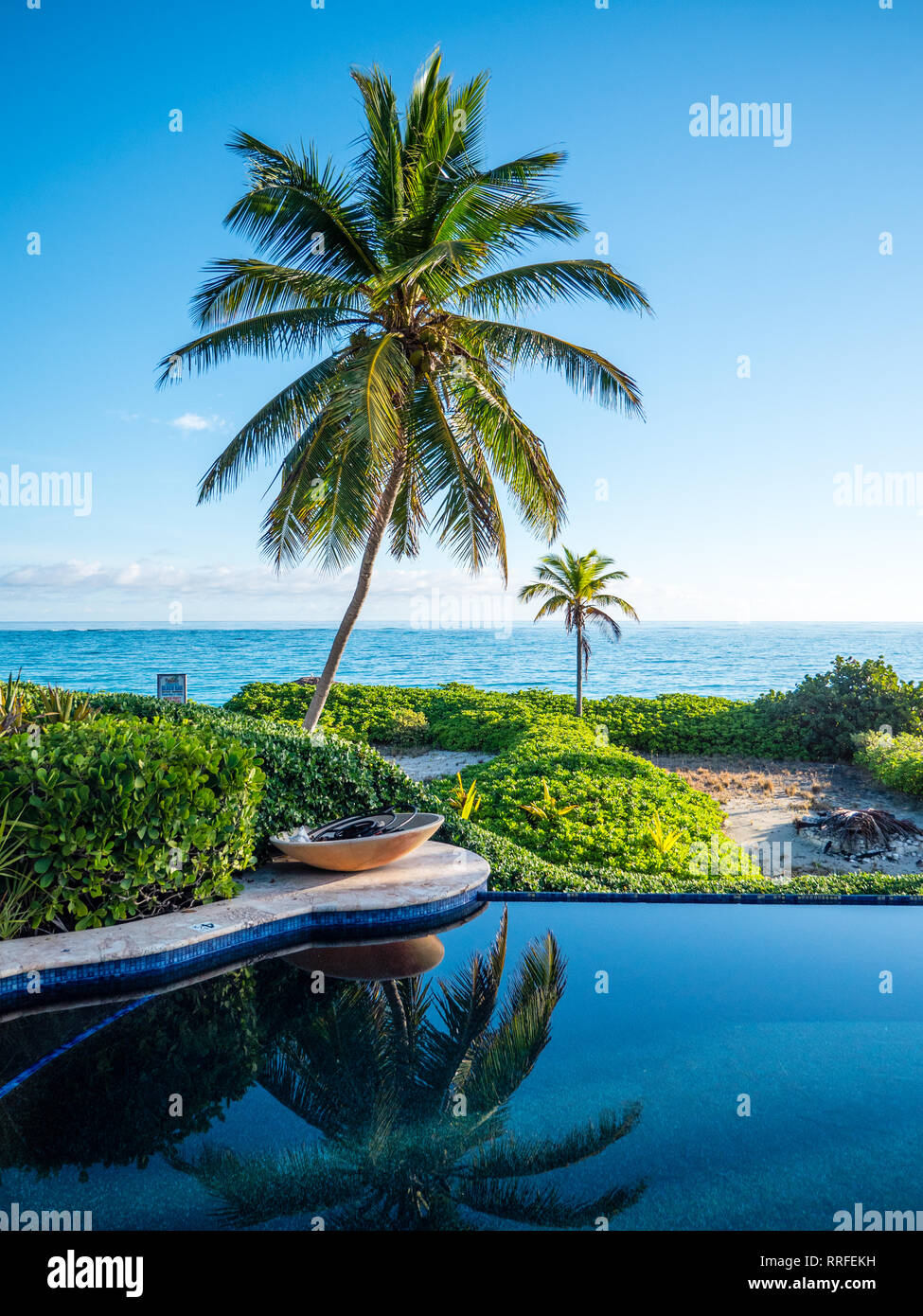 Reflection of Palm Trees, In Swimming Pool, Sky Beach Club, Eleuthera, The Bahamas, The Caribbean. Stock Photo