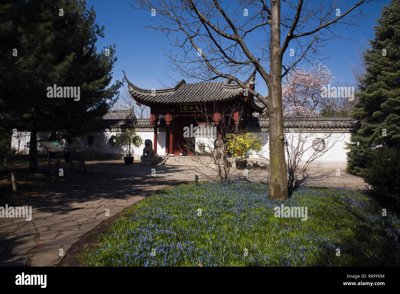 Wall with gate leading to springtime Courtyard in Dream Lake Garden at the Chinese Garden in spring, Montreal Botanical Garden, Quebec, Canada Stock Photo