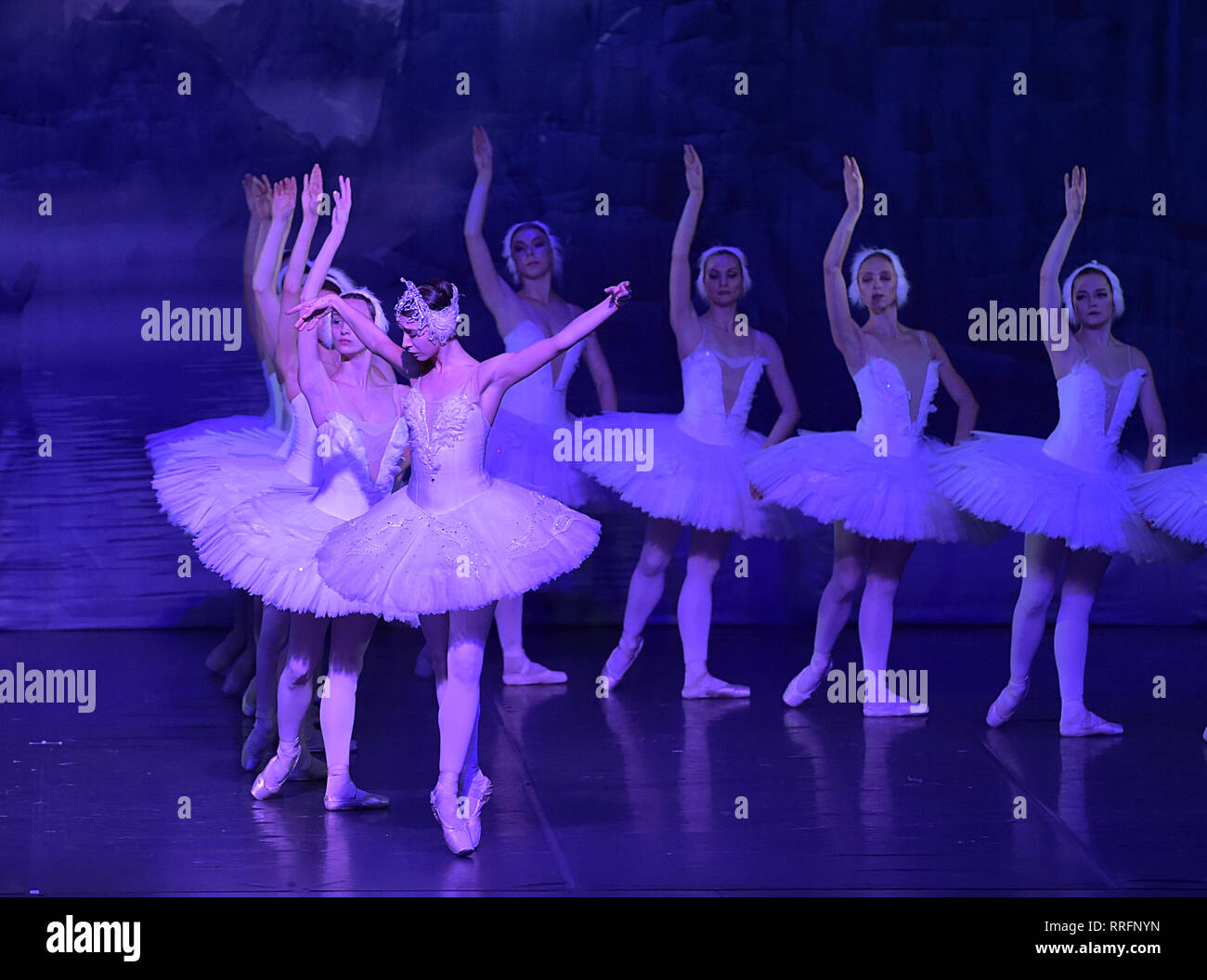 Frankfurt, Germany. 25th Feb, 2019. Ballet show "Swan Lake" is performed by  Russian theater "The crown of Russian ballet" at Jahrhunderthalle in  Frankfurt, Germany, on Feb. 25, 2019. Credit: Lu Yang/Xinhua/Alamy Live