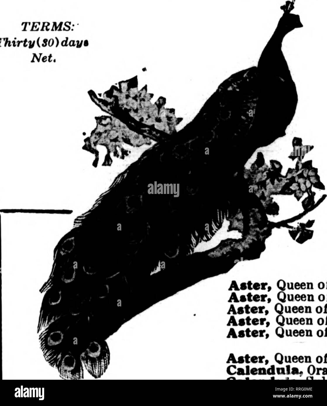 Oa 10 Black and White Stock Photos & Images - Alamy Oa 10 Black and White Stock Photos & Images - Alamy -