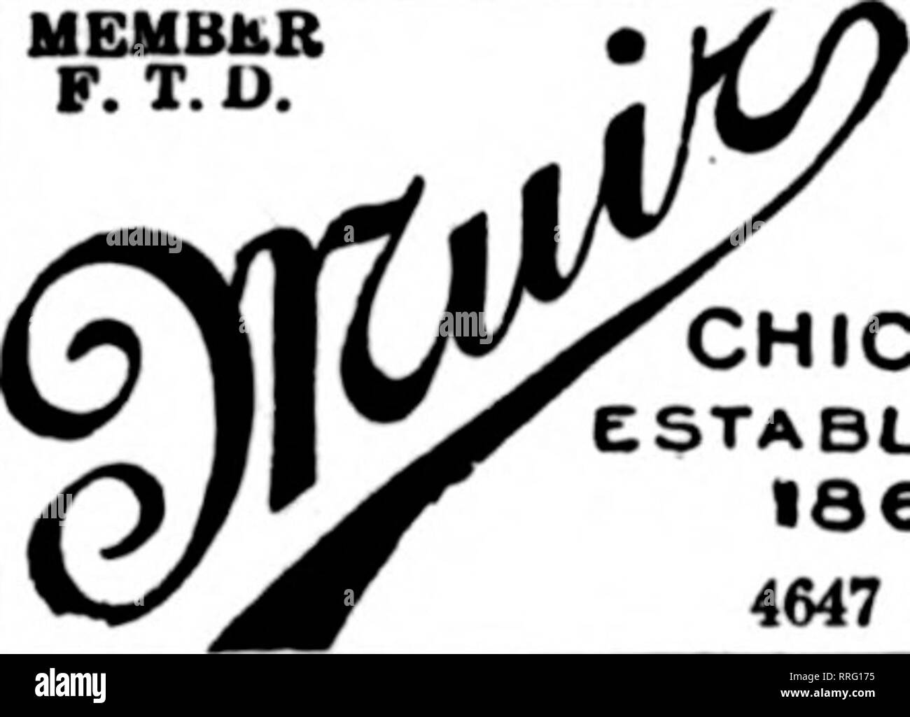 Page 2 1614 N A N A N A High Resolution Stock Photography And Images Alamy