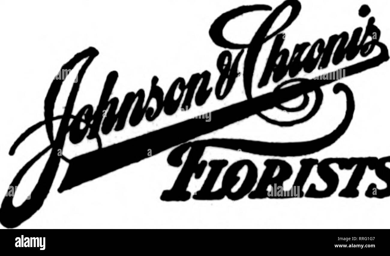 . Florists' review [microform]. Floriculture. OTTAWA, ILL. LOHR'S GREENHOUSES Fancy Cut Flowers and Blooming PlanU. Good R. R. Service. Orders filled promptly. ^frp;itnr 111 THORNTON'S iJircdlUly ill. FLOWER SHOP FLORiOT - Quality is Our Hobby PRINCETON, ILL. W.E.TRIMBLE For Central and GREENHOUSE CO. u^^^v^t!d^ mercial growers exhibited in addition to well known private growers. The show was opened by the governor-general, the Duke of Devonshire. J. J. H. STATE COLLEGE, PA. College Holds Show. The department of floriculture of the Pennsylvania State College held its an- nual flower show Novem Stock Photo