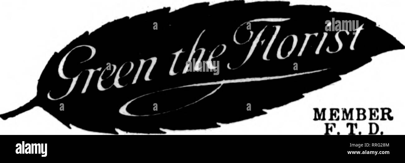 Cremer street hires stock photography and images Alamy