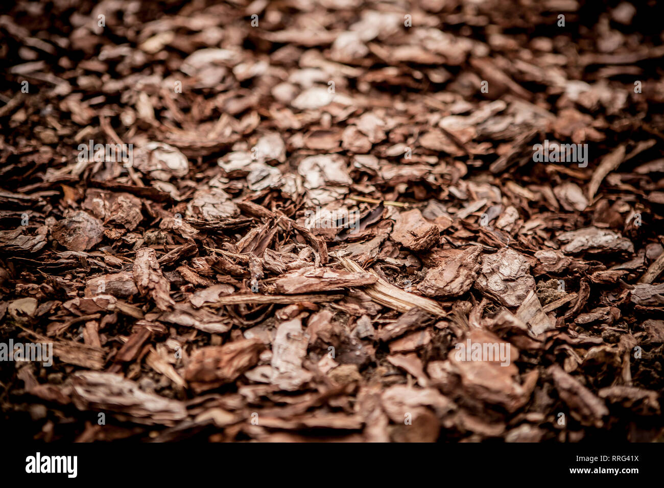 Wood Chippings Stock Photo