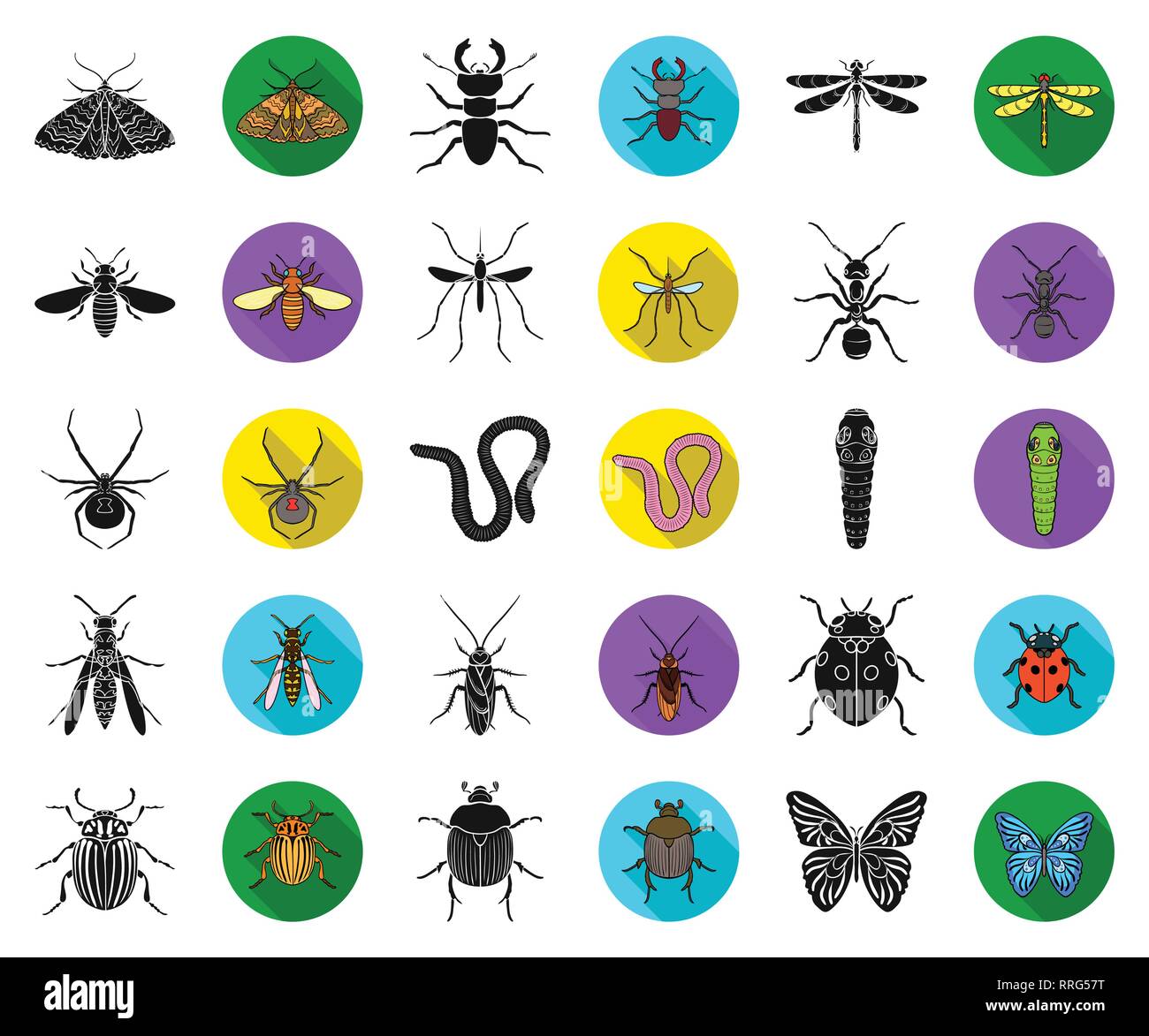animal,ant,art,arthropod,bee,beetle,black,flat,butterfky,caterpillar ...