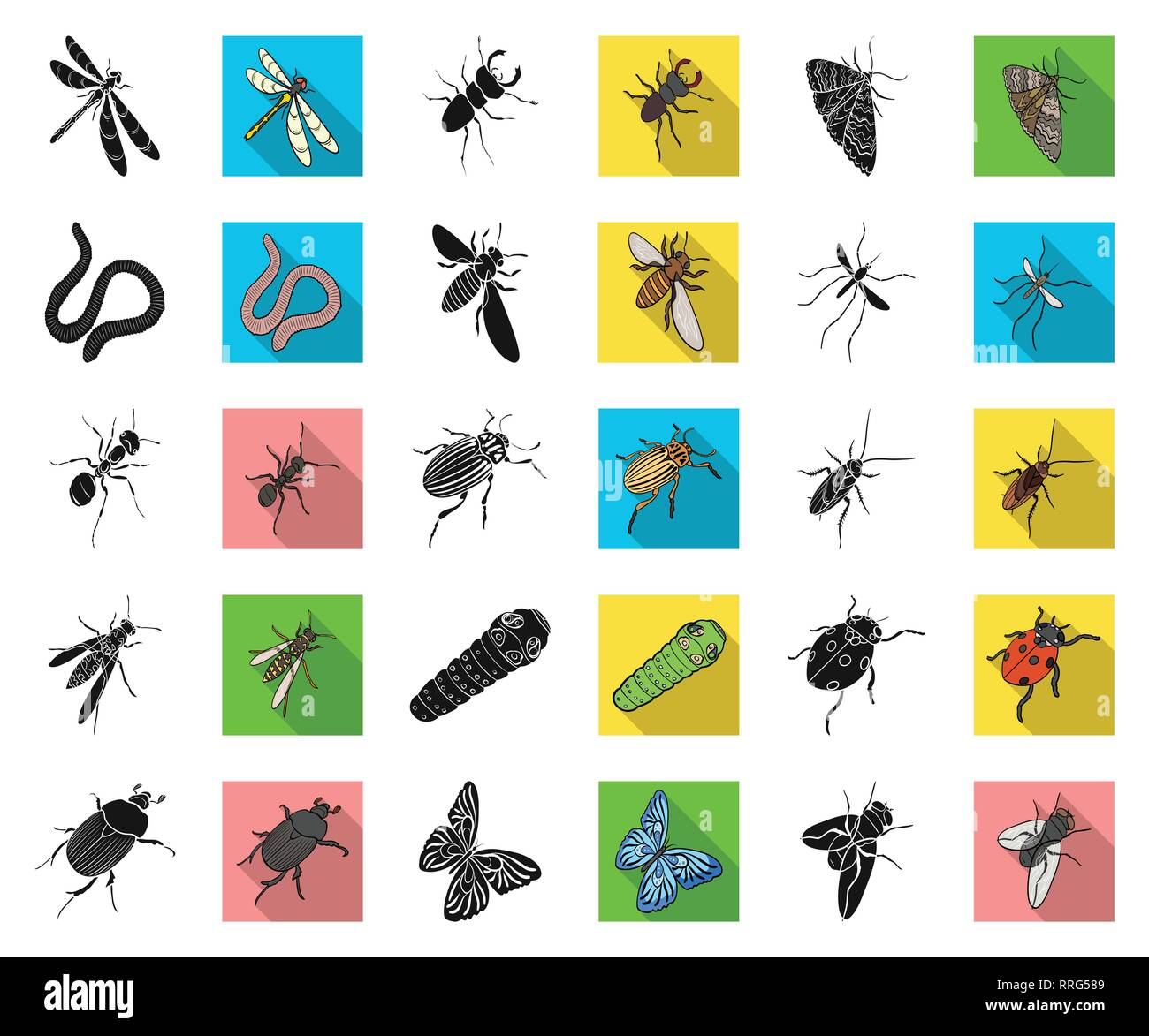 animal,ant,arthropod,bee,beetle,black,flat,bloodsucker,butterfly ...