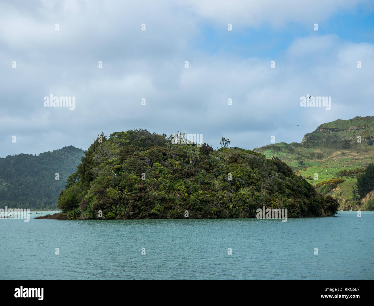 Motu Tawa, Mokau River, North Taranaki, New Zealand Stock Photo