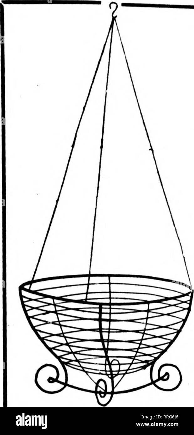 . Florists' review [microform]. Floriculture. Fbbrcart 3, 1921 The Florists^ Review 109. WIRE HANGING BASKETS NOT THE CHEAPEST BUT THE BEST The Well Made Kind Painted. Bound with Galvanized Wire 6 at dozen rate, SO at 100 rate p ,nn Per doz. Per 100 $L'.00 $15.00 ^-luc'i .... 2.25 18.00 '&quot;-i&quot;«h 2.-50 20.00 l--'&quot;ch 3.25 25.W 14-inch 4 2o 32.5(» '&quot;-.'&quot;'-'h '.'.'.['.'.'.'.'.'..'.'.'.'.. (i!00 45.00 1 s-inch Prices on larger si/e Hanging Baskets quoted on application. Write for Price List of Wire Floral Designs. GREEN SHEET MOSS '?&quot;'l^SR^RI^N'i.SSTAlKETs Per bag, $2.0 Stock Photo
