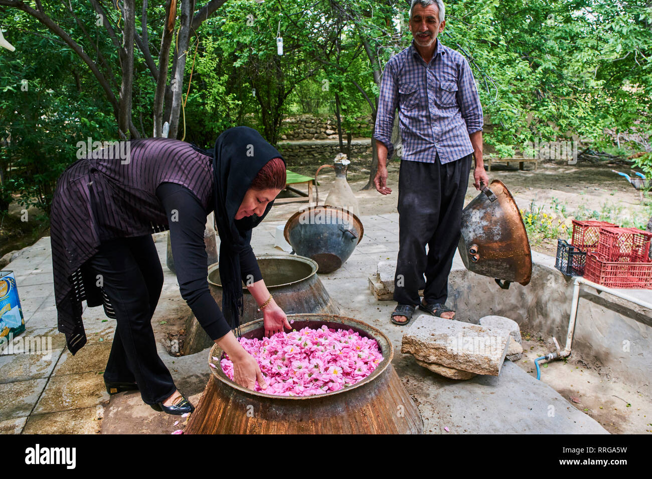 Distillation of rose for making rose water, Kashan, Isfahan Province, Iran, Middle East Stock Photo
