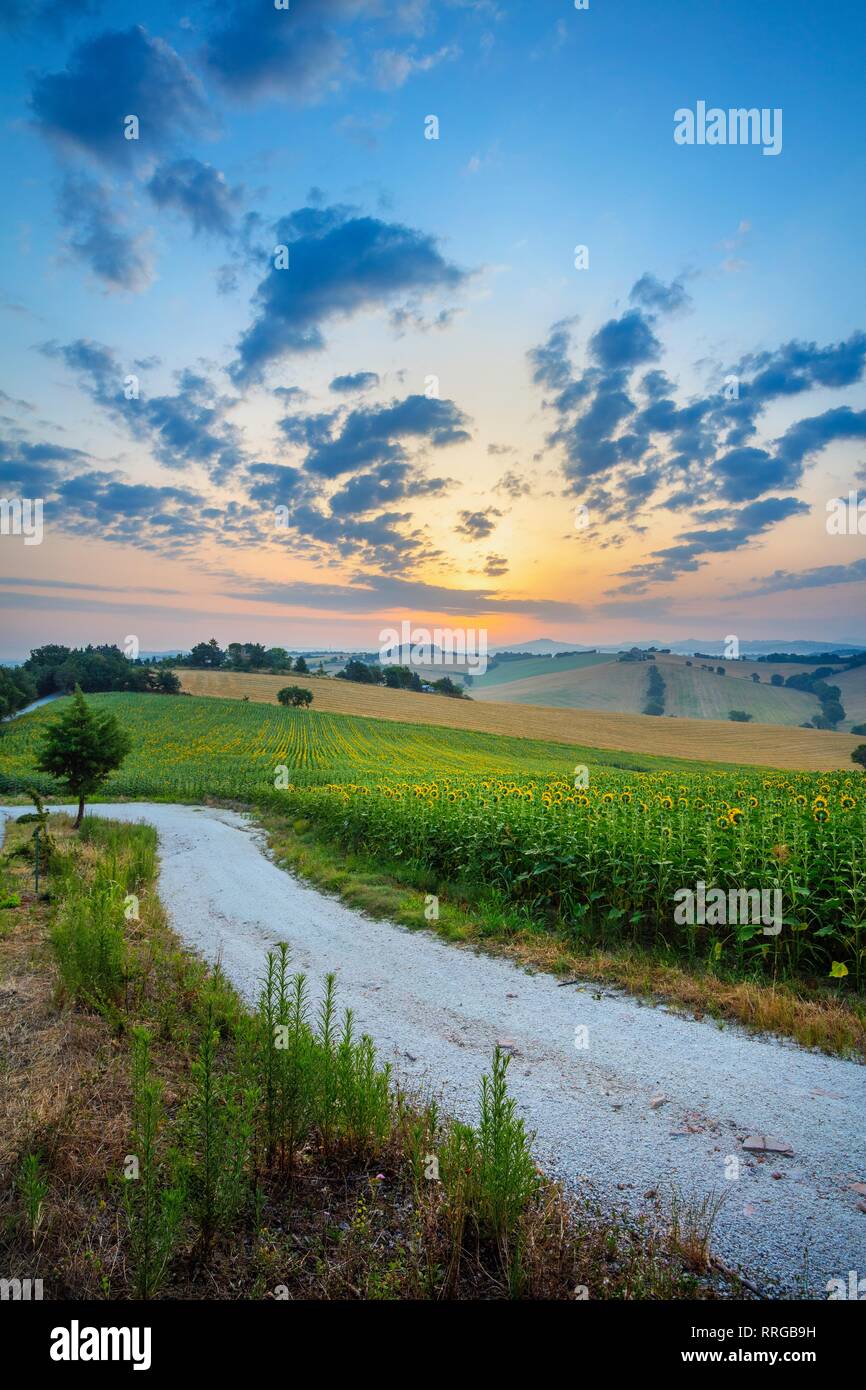 Ripabianca hi-res stock photography and images - Alamy