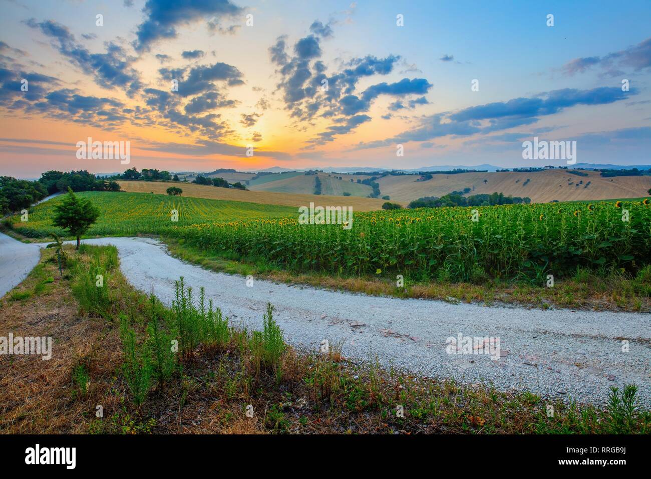 Ripabianca hi-res stock photography and images - Alamy