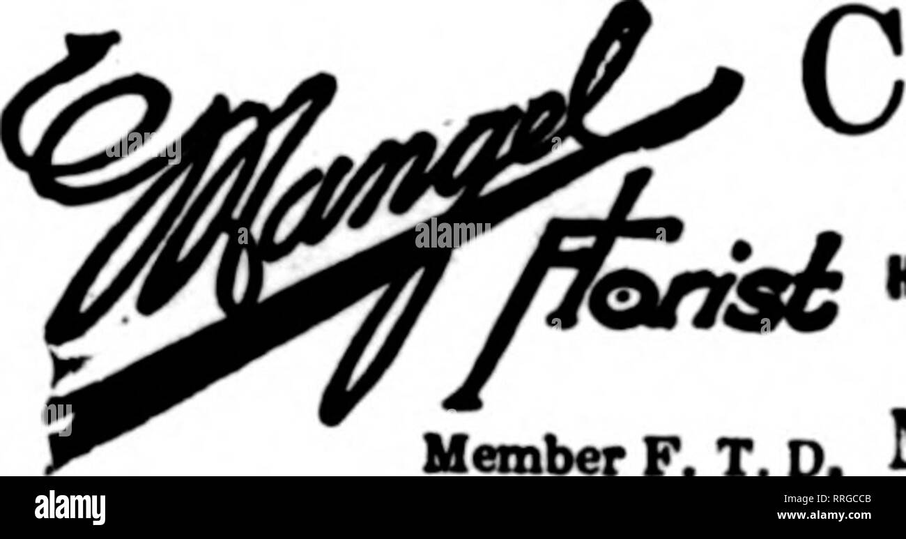 . Florists' review [microform]. Floriculture. Orders %T^ CarefuUy Executed EVANSTON, ILL. WILMETTE, ILL. 1614 Sherman Ave. JOHN WEIL AND 1161 Wilmette Ave. TWO STORES Caterins to the b«attrade in CUciLKo'i Rich North Shore Subarbs. MEMBER F. T. D. CHICAGO O'LEARY —Florist 369 East 47th Street Member F. T. D. Send Your CHICAGO Orders to H. N. BRUNS Best Equipped Retail Store on the West Side 3040 W. Madison St., Ch=Yago, 111. used. Every box that is put up con- tains some shrub blossoms and Darwin tulips. This change is appreciated, for they are seasonable. There have been several funerals re-  Stock Photo