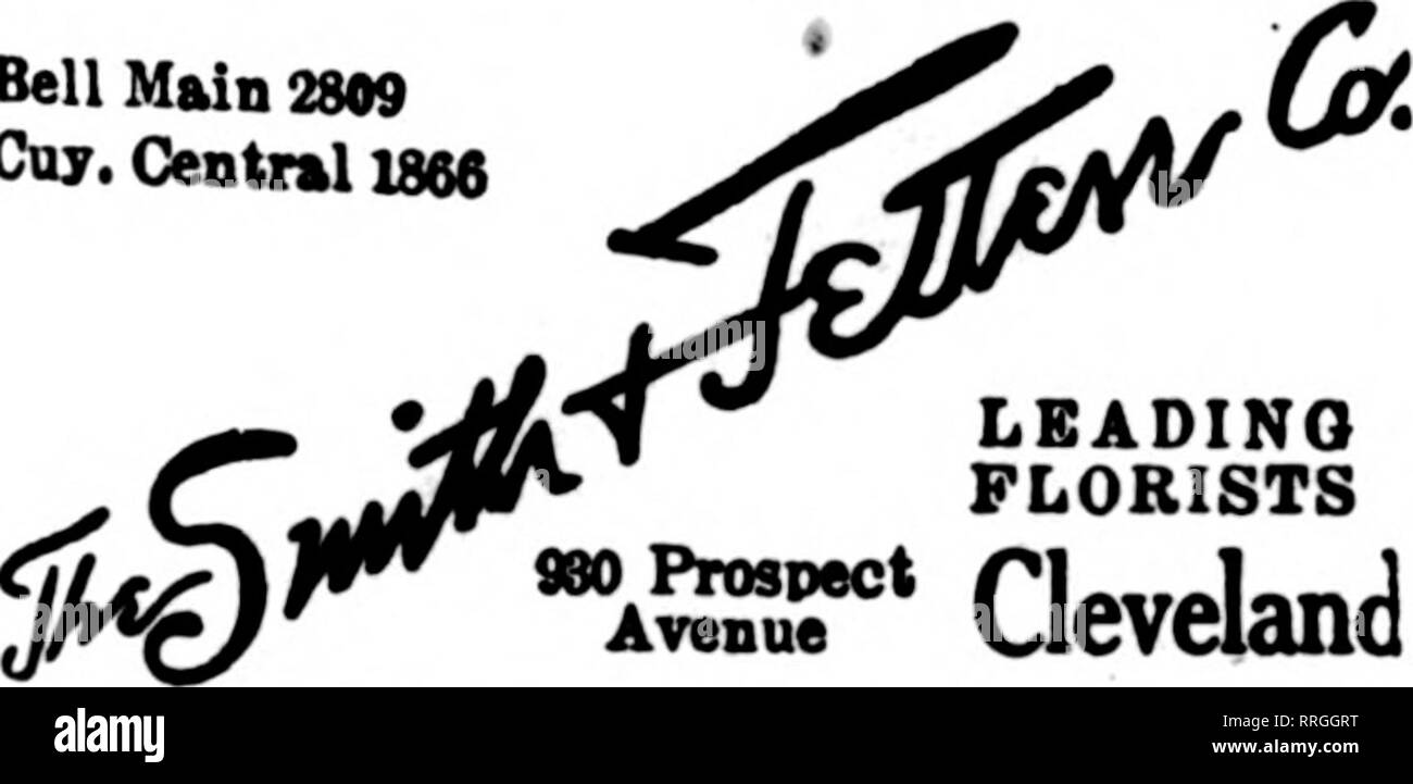 Xenia flowers hires stock photography and images Alamy