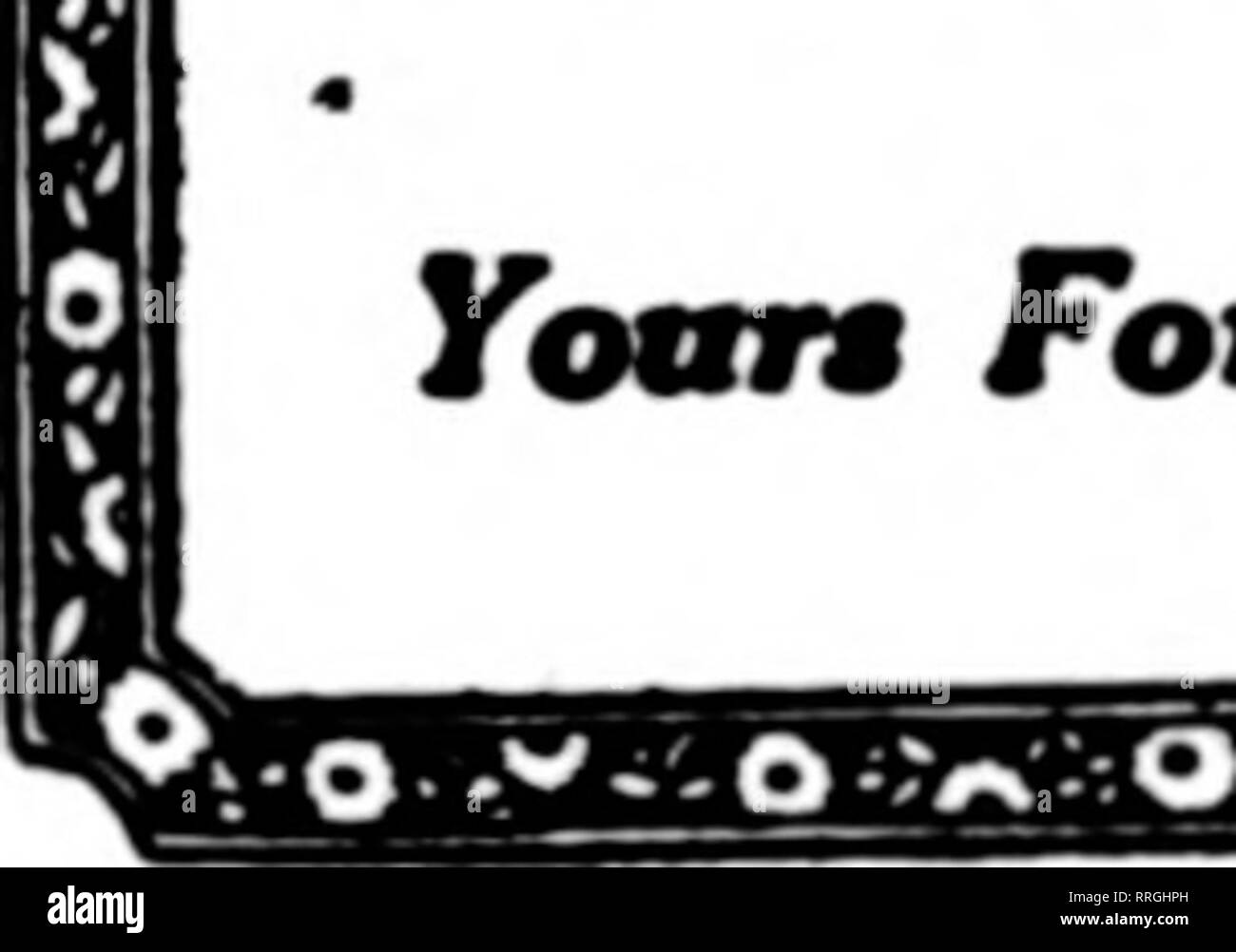 Peter reuss hires stock photography and images Alamy