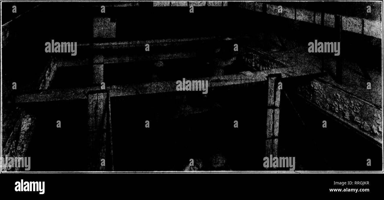 Ti Pi Black And White Stock Photos Images Alamy - florists review microform floriculture t quot ti