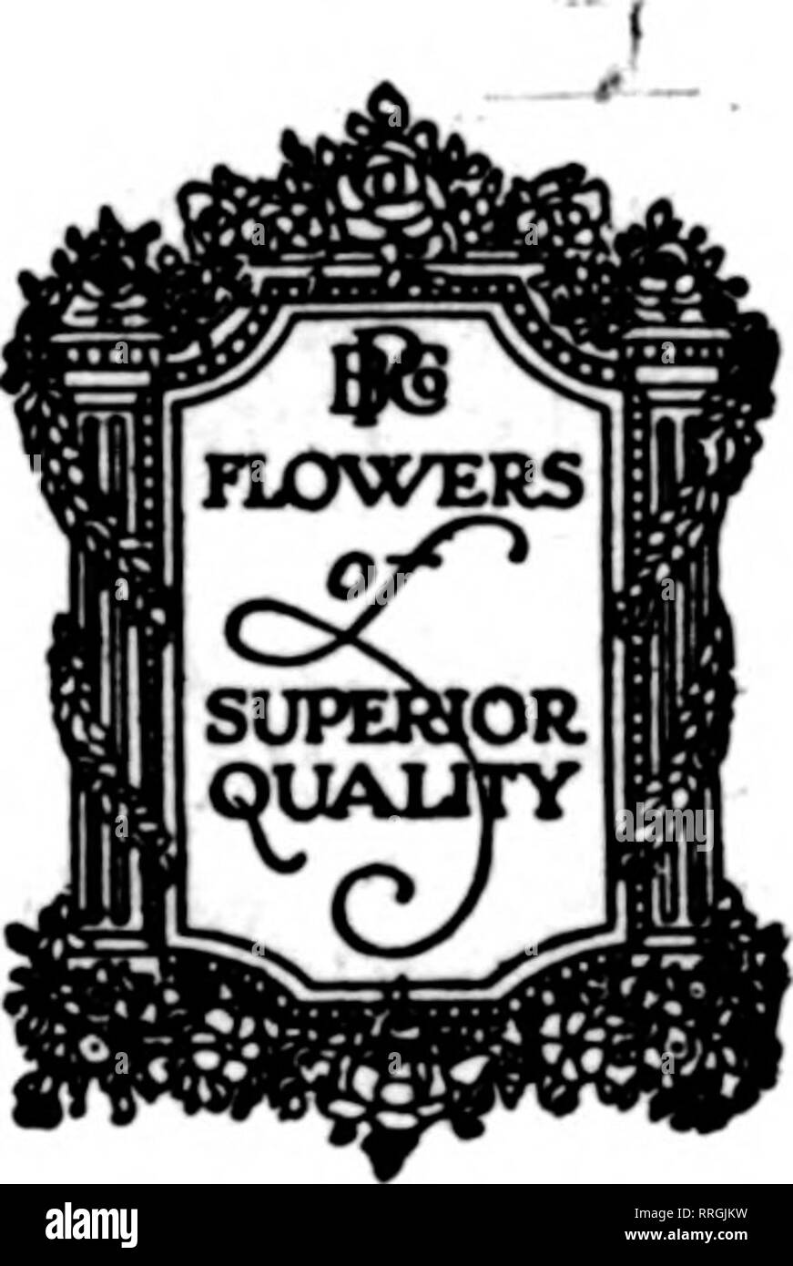 . Florists' review [microform]. Floriculture. R OSes America today—and certainly no indled specially for the summer crop Choice offerings: Esis^er Lilies Valley Cattleya Gigas Carnations Sweet Peas Greens: Smilax Strings Plumosus Sprays Sprengeri New Ferns Adiantum mality Means Satisfaction HERS Company andolph St. WdolpH 35 . S. A.. 77^e Largest Growers of Flowers in the World. Please note that these images are extracted from scanned page images that may have been digitally enhanced for readability - coloration and appearance of these illustrations may not perfectly resemble the original work Stock Photo