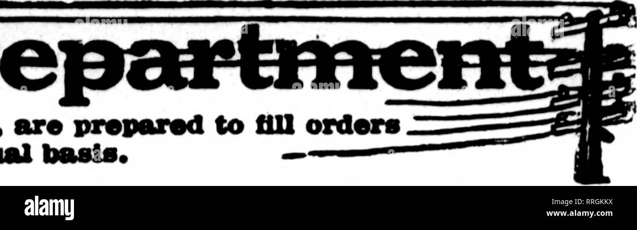 . Florists' review [microform]. Floriculture. Th* florist* whose cards B,v»9mT on fhe pases carrying this head, are prepared to till orders ?»—- from other florists for local delivery on the usual hasts.. MICHIGAN ORDERS WILL BE CAREFULLY CARED FOR BY HENRY SMITH GRAND RAPIDS WHOLESALE AND RETAIL FLORIST. Member F. T. D. 200,000 FEET OF GLASS DEVOTED TO FLOWERS AND PLANTS. GRAND RAPIDS ARTHUR F; CRABB F.T.D. Member. ISJeflfersonAve., S. Serving all West Michigan Towns FLINT, MICH. MEMBER P. T. D.. Please note that these images are extracted from scanned page images that may have been digitally Stock Photo