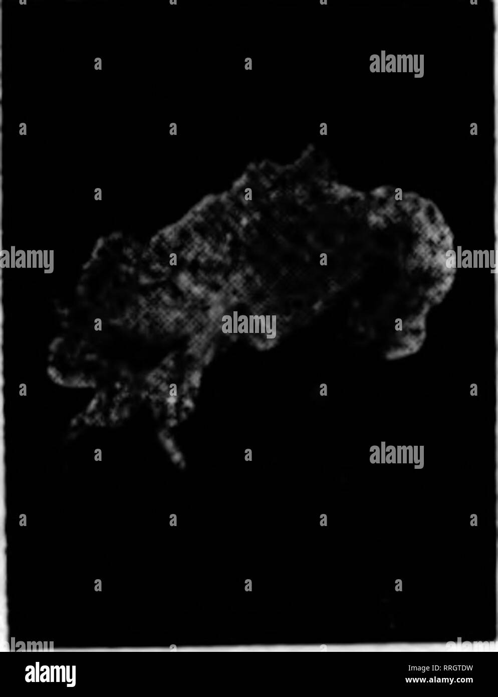 L B T Hi Res Stock Photography And Images Page 257 Alamy