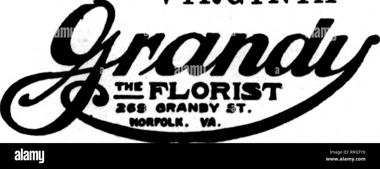 . Florists' review [microform]. Floriculture. OUR FACILITIES are unexcelled in this section of the country. 115 E. Main St. Member Florists' Telegraph Delivery Ass'n. NORFOLK PROMPT SEEVICE ^IRST-CLASS STOCK VIRGINIA. NORFOLK'S TELEGRAPH FLORIST, Fortress Monroe, Va. Special messenger service to above city. Sl.00 Member Florists' Telegraph Delivery Association. UNIONTOWN, PA. STENSON &amp; McGRAIL,&quot;&quot;^'^&quot;' Florlato&quot; 1* V 11 Morgantowa Street FRESH HOME-GROWN CUT FLOWERS AND PLANTS at all times GILES, The Florist READING, PENNA. Member F. T. D. J. V. LAVER ERIE, PA. Write, Ph Stock Photo