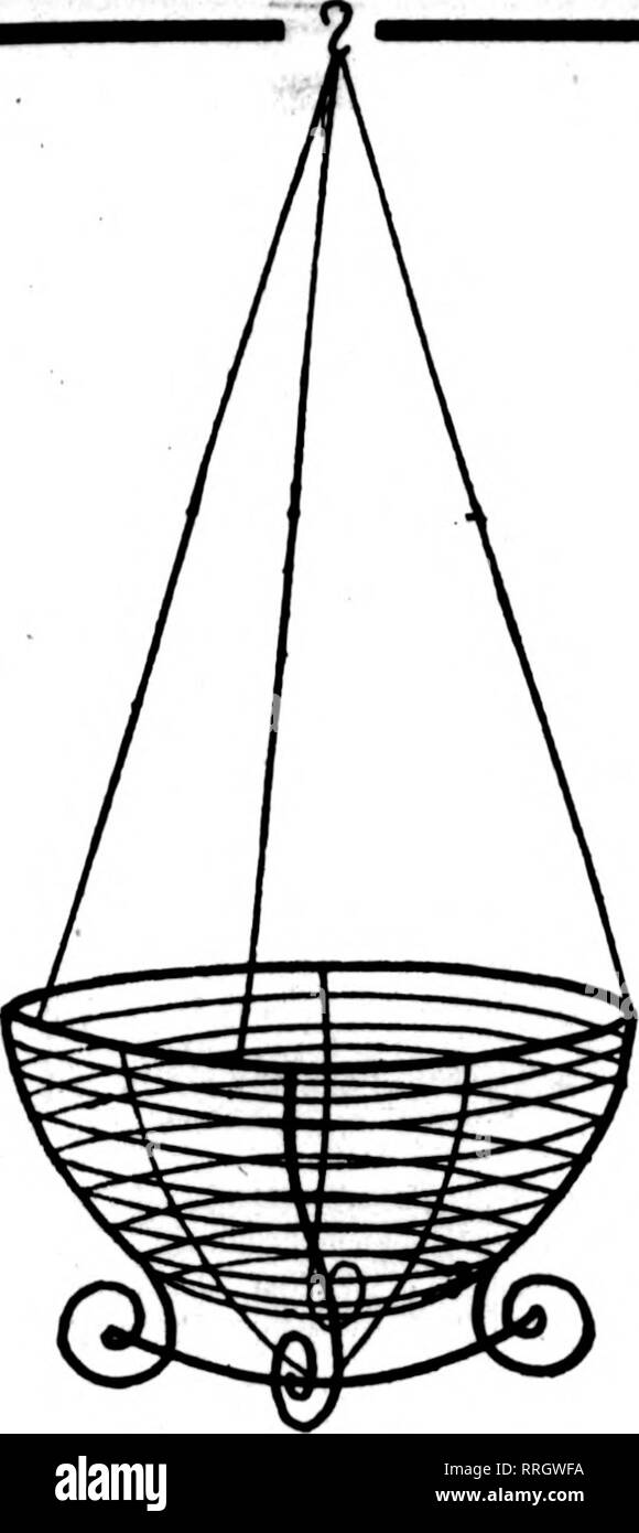 . Florists' review [microform]. Floriculture. Febbdabt 26. 1920 The Rorists^ Review 53. Wire Hanging Baskets The well-made kind. Painted, bound with galvanized wire. 6 AT DOZEN RATE. 50 AT 100 RATE 8-inch Per doz. $2.00 Per 100 $15.00 17.00 22.00 26.00 30.00 46.00 zrr-. :: lO-inch 2.50 12-inch 3.00 14-inch 3.60 16-inch 4.60 18-iuch 6.00 GREEN SHEET MOSS Long, green sheets for hanging baskets per bag, $1.75; 10 bags, $16.00 C. E. CRITCHELL, THE WHOLESALE FLORIST Cincinnati^ Ohio 15 EAST THIRD STREET We are the largest manufacturers of Floral Wirework in the United States. We defy all competitio Stock Photo