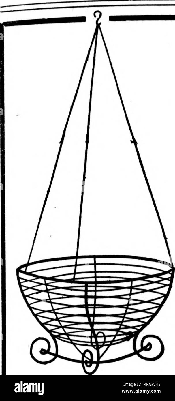 . Florists' review [microform]. Floriculture. MAT 13, 1920. The Florists^ Review 51. 1 'K Wire Hanging Baskets The well-made kind. Painted, bound with galvanized wire. 6 AT DOZEN RATE. 60 AT 100 RATE 8-inch Per doz. $2.60 =3 Per 100 $18.00 20.00 25.00 27.50 36.00 60.00 lO-inch 3.00 12-inch 3.60 14-inch 4.00 16-inch 5.00 18-inch 7.60 GREEN SHEET MOSS Long, green sheets for hanging baskets per bag, $1.75; 10 bags, $16.00 C. E. CRITCHELL, ™%'JSS!fT'^'^^ Cincinnati, Ohio 15 EAST THIRD STREET iA &lt;. -^ ^ .v-''A--' ?;=&lt;N^A'' &quot;'-.f ?SS^'l- N 4.. &quot; &quot;k* •0 ^ '^ 4 A beautiful, green  Stock Photo