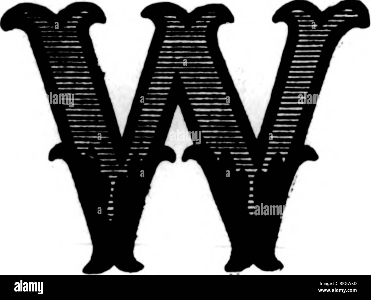 Page 2 Pras High Resolution Stock Photography And Images Alamy