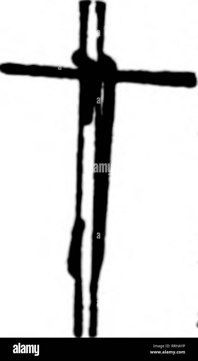 Cross pipe cross fittings Black and White Stock Photos & Images - Alamy