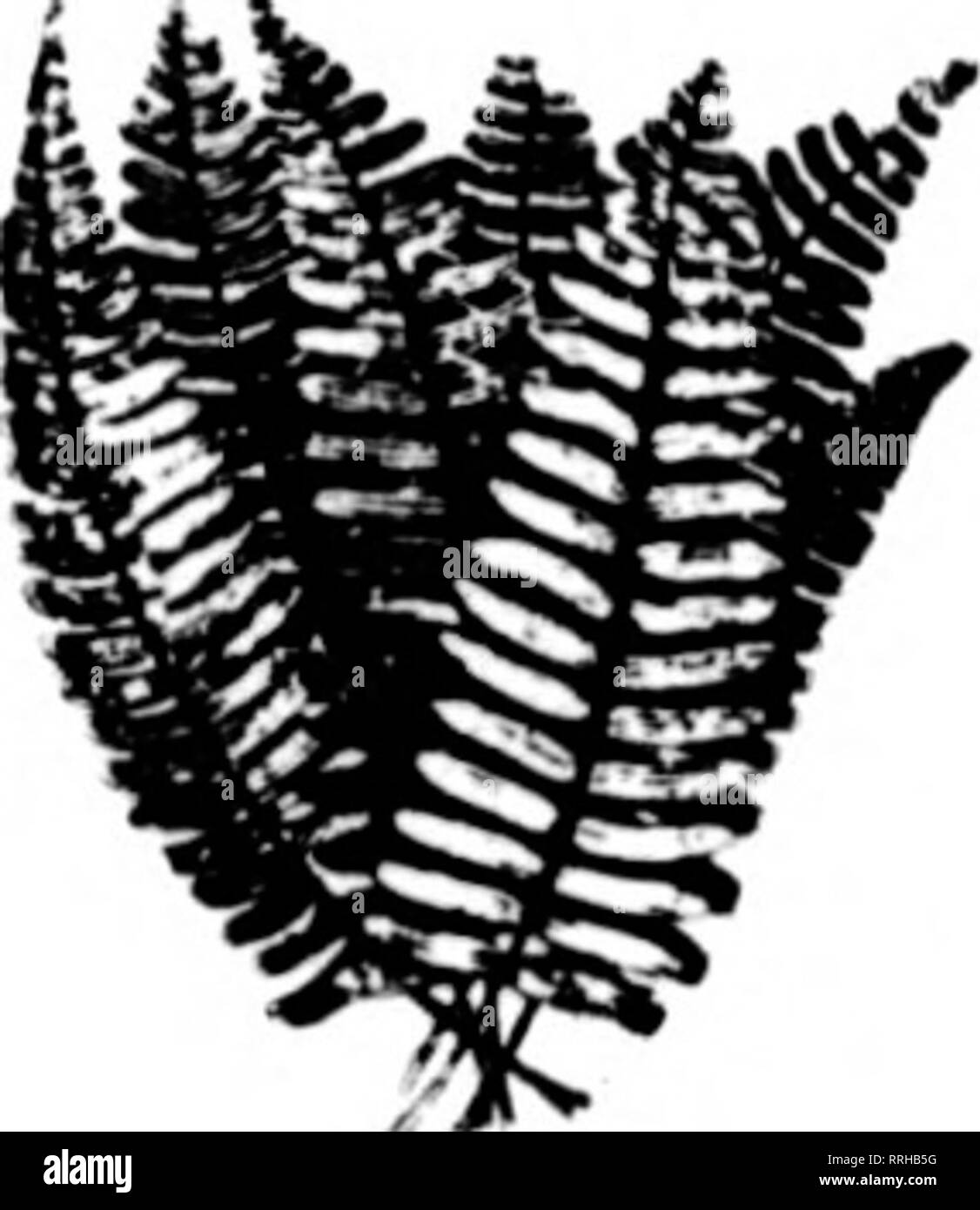 Florists Review Microform Floriculture Teletfraph Address