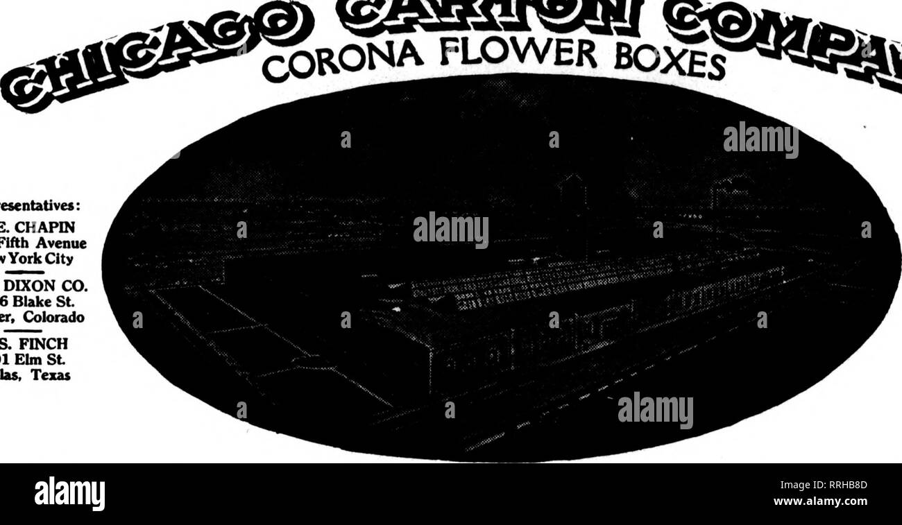 . Florists' review [microform]. Floriculture. 50 The Florists' Review Januabt 13, 1921. £&gt;j^ ?nRONA FLOWER BQ^^Stfejag^ Representatives: M. E. CHAPIN 516 Fifth Avenue New York City T. A- DIXON CO. 1526 Blake St. Denver, Colorado T. S. FINCH 601 Elm St Dallas, Texas For Violets and Corsasres Size Per 100 7x 4x4 2-inch Top $5.00 10 X &lt;&quot;. X 5i&lt;j-J-inch Top n.OO 12 X 8 X 51^2 2-inch Top 7.H5 14x10x8 2-inch Top 12.(10 For Cut Flowers 18 x5 X :! 2-inch Top $ 6.10 20x4x8 2-inch Top (^.Oh 21x5x8 2-inch Top 7.25 24 X 5 X 8Hi 2-inch Top 7.70 24x8x4 2-inch Top 10.80 28 X 8 X 4 2-inch Top 12 Stock Photo