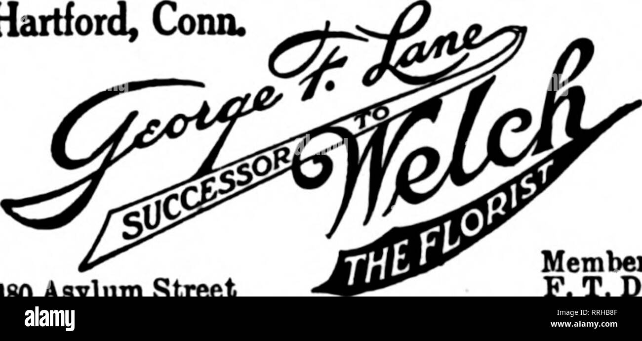 Flower district trucks hires stock photography and images Alamy