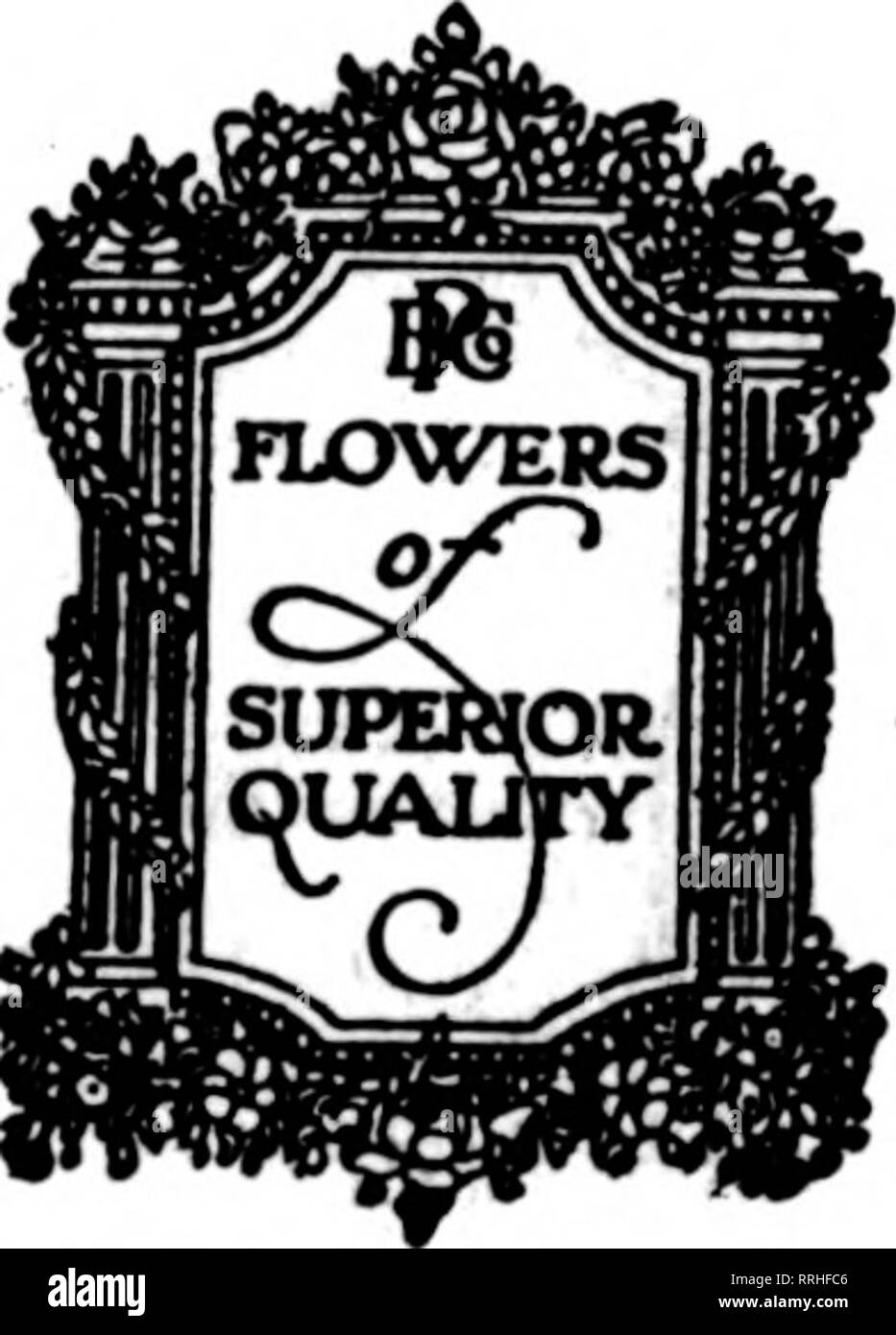 . Florists' review [microform]. Floriculture. The Florists^ Review July 1, 1920 &quot;t BUSINESS With All Virho Use i 1ATEST reports from our green -^ of the largest cut of Premier,' ever sent to this market. ^ Grown specially for YOUR Sum HOUSES OF THESE ROSES are&gt; Summer Stock. ^ Poehlmann Roses—^at Fair Prices CATTLEYA ?The. Super- STRING SMILAX—Plenty of it now Poehlmann Service with Poehlmann Poehlmann Bro r 66 to 7 4 East Telephone CHICAGO, i (. 1 1. Please note that these images are extracted from scanned page images that may have been digitally enhanced for readability - coloration  Stock Photo