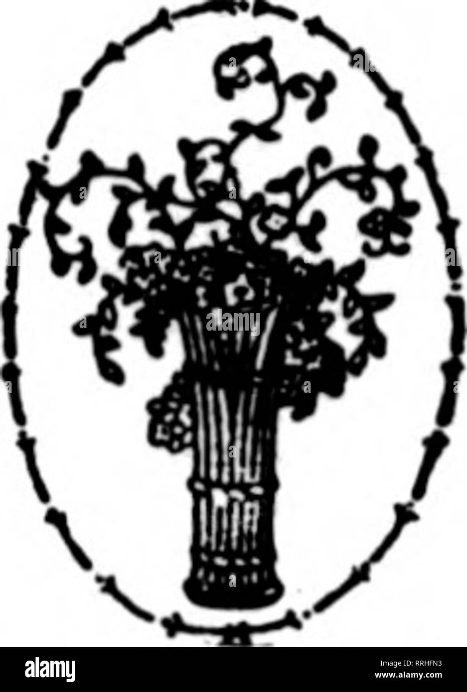 Florists Review Microform Floriculture No Order Too Large No Order Too Small Member F T D Ymy T F Tt T A X Ttv Member H 1 U Lleveland 3 M Vibbh