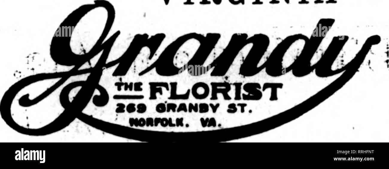 . Florists' review [microform]. Floriculture. OUR FACILITIES are unexcelled in this section of the country. 115 E. Ma^il St. Member Floristis'Telegi-aplLDeltvery.Ass'n. NORFOLK PROMPT SERVICE FIRST-CLASS STOCK VIRGINIA. Fortress Monroe, Va. nokpoltk's tbleqraph florist , Special messenger service to above city. Sl.00 Member Florists' Telegrfiph Delivery Association. 1 UNIONTOWN, PA. L«adins Ftorlata&quot; STENSON &amp; McGRAIL, &quot;^^ 11 Morcantown Street FRESH HOME-GROWN CUT FLOWERS AND PLANTS at all times GILES, The Florist READING, PENNA. Member F. T. D. J. V. LAYER ERIE, PA. Write, Phone Stock Photo