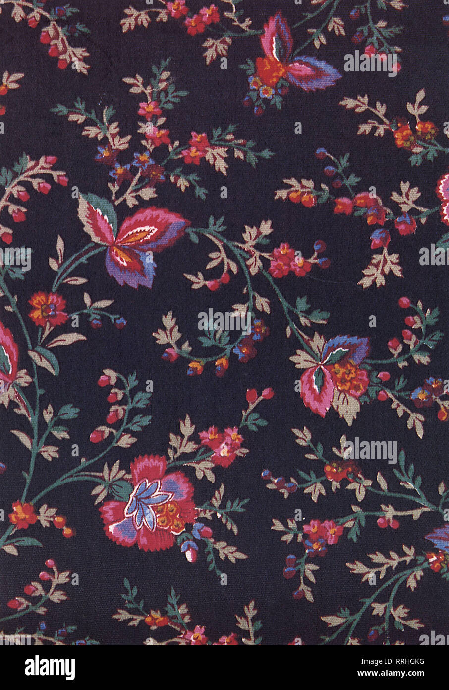 Green leaves and stems with red flowers on dark field. Stock Photo