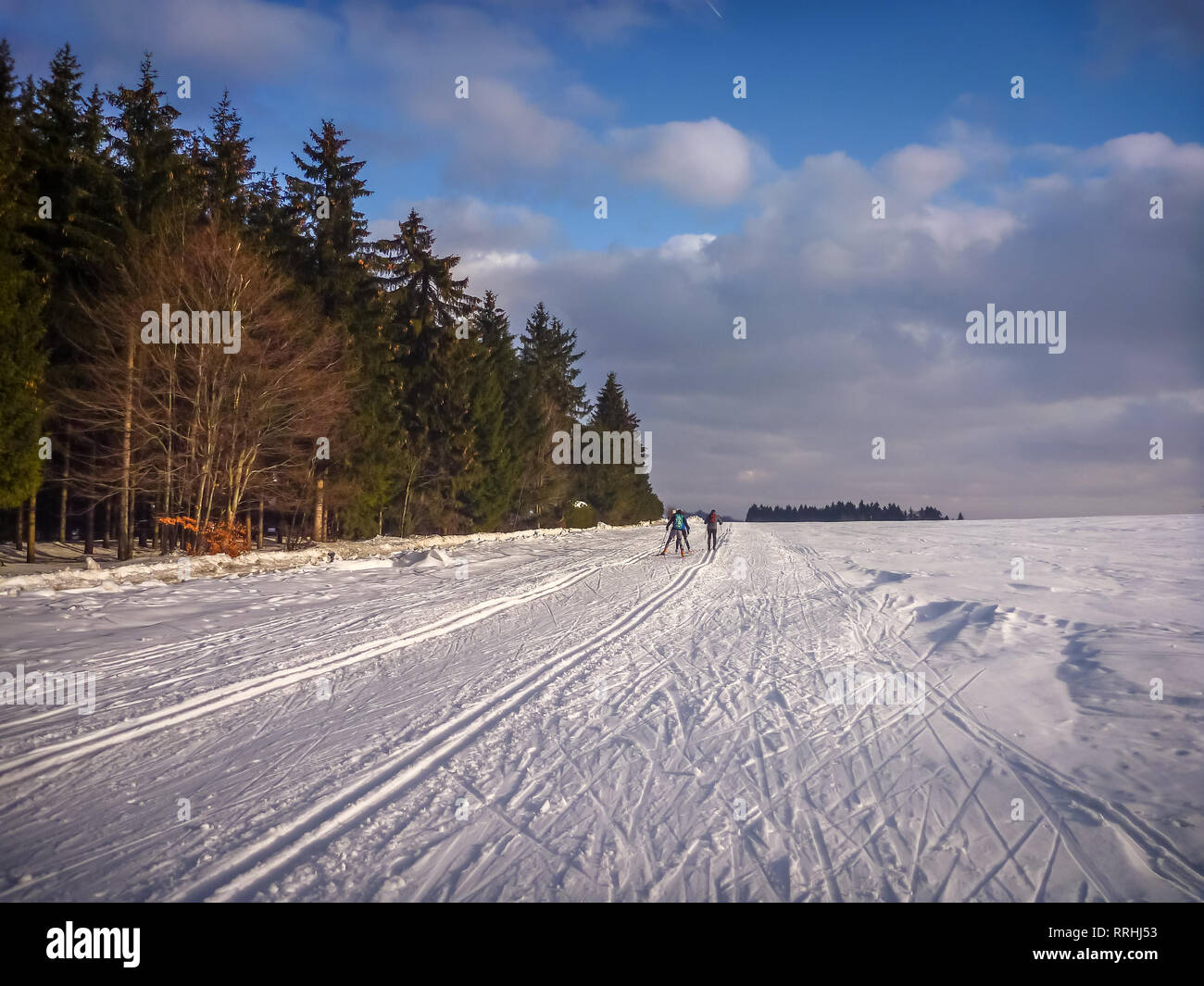 Nordic skiing trails on the edge of coniferous forest near Nove Mesto na Morave, Czech-Moravian highlands, Czech Republic Stock Photo