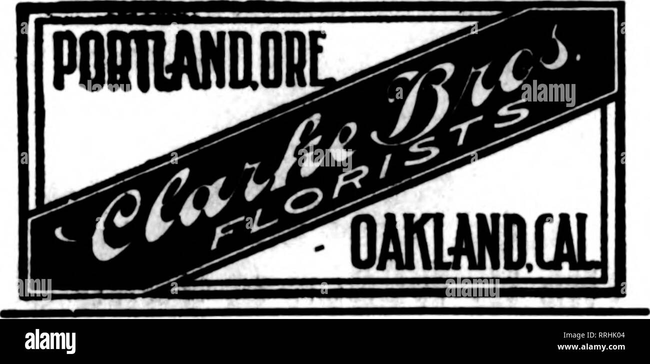 . Florists' review [microform]. Floriculture. WOLFSKILLS' and MORRIS GOLDENSON FLORISTS AND DECORATORS We Solicit Telegraph Orders. Regular Trade Discount. 229 W. Third St., LOS ANGELES, CAL. 1 LOS ANGELES, CAL HOWARD &amp; SMITH NINTH AND OLIVE STREETS You can depend on us for all orders for delivery ia this section. DARLING'S SHOP &quot;Flowers for Her&quot; 208 West Sixth Street, LOS ANGELES, CAL Cut flowers or good design work by best artists and designers delivered anywhere in the west on receipt of mail or telegraph orders. Usual discount to the trade. WRIGHT'S FLOWER SHOP ?? 224 West Fo Stock Photo