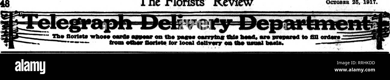 . Florists' review [microform]. Floriculture. The Florists^ Review OCTOBIB 25, 1917.. CINCINNATI 532-534 Race St. E. G. HILL FLORAL CO. Good Stock and Good Service Member F. T. D. Phocss Main 1874-1875 EDWARD A. FORTER, Florist Successor to A. Sunderbruch's Son* 128 W. Fourth St., Cincinnati, O. SCHRAMM BROS. Send us your orders for TOLEDO, OHIO 1307-15 CHERRY STREET Members Florists' Telegraph Delivery MKMBKRS FLORISTS' TELEQIIAPH DKLIVERV TOLEDO, OHIO METZ &amp; BATEMAN 414 Madison Avenue OHIO BUILDING DAYTON, OHIO 16 and 18 W. 3rd St. Matthews the Florist Established in 1883. Oreenhouses an Stock Photo