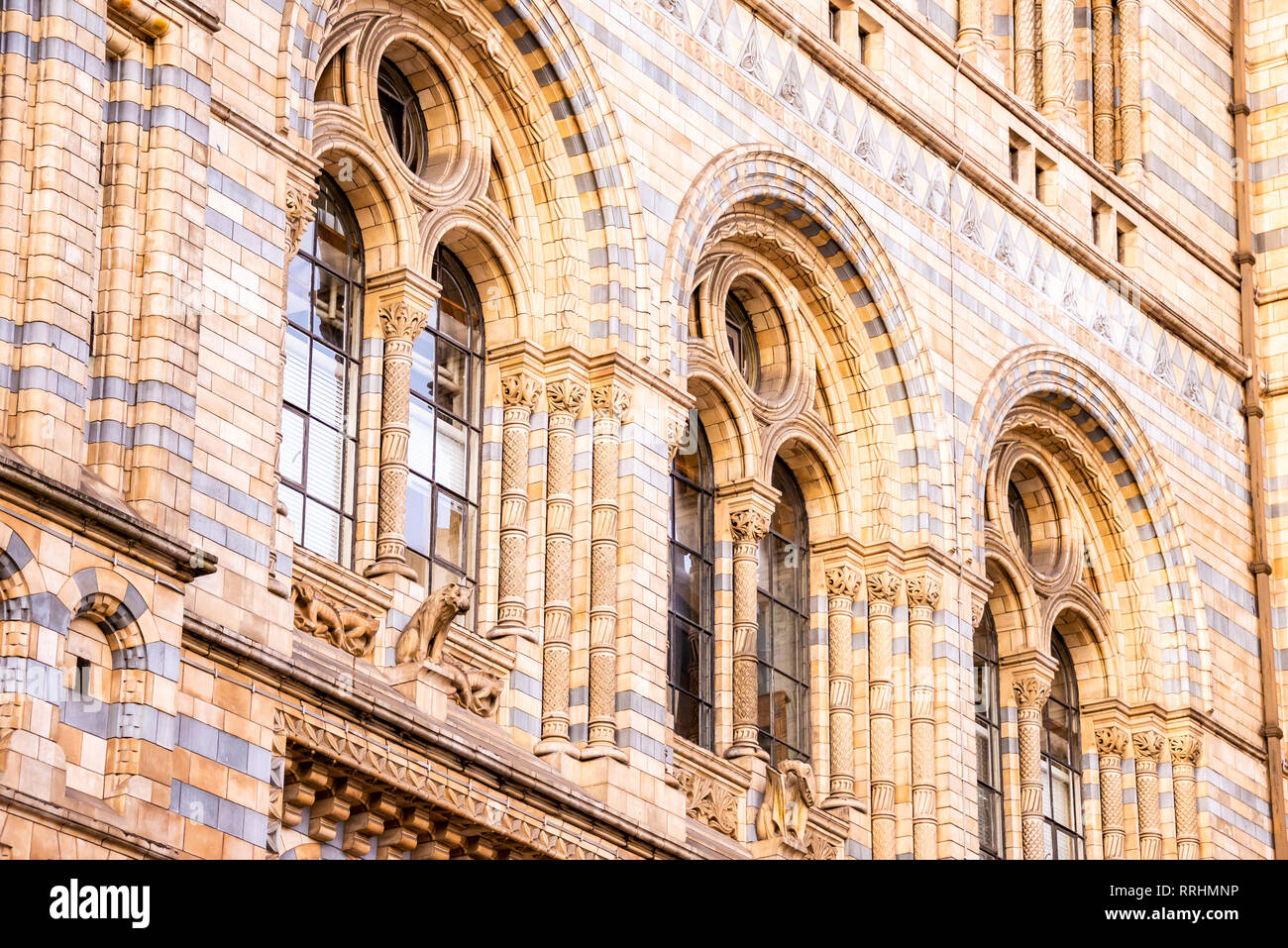 Close up of Natural History Museum facade in London. Stock Photo