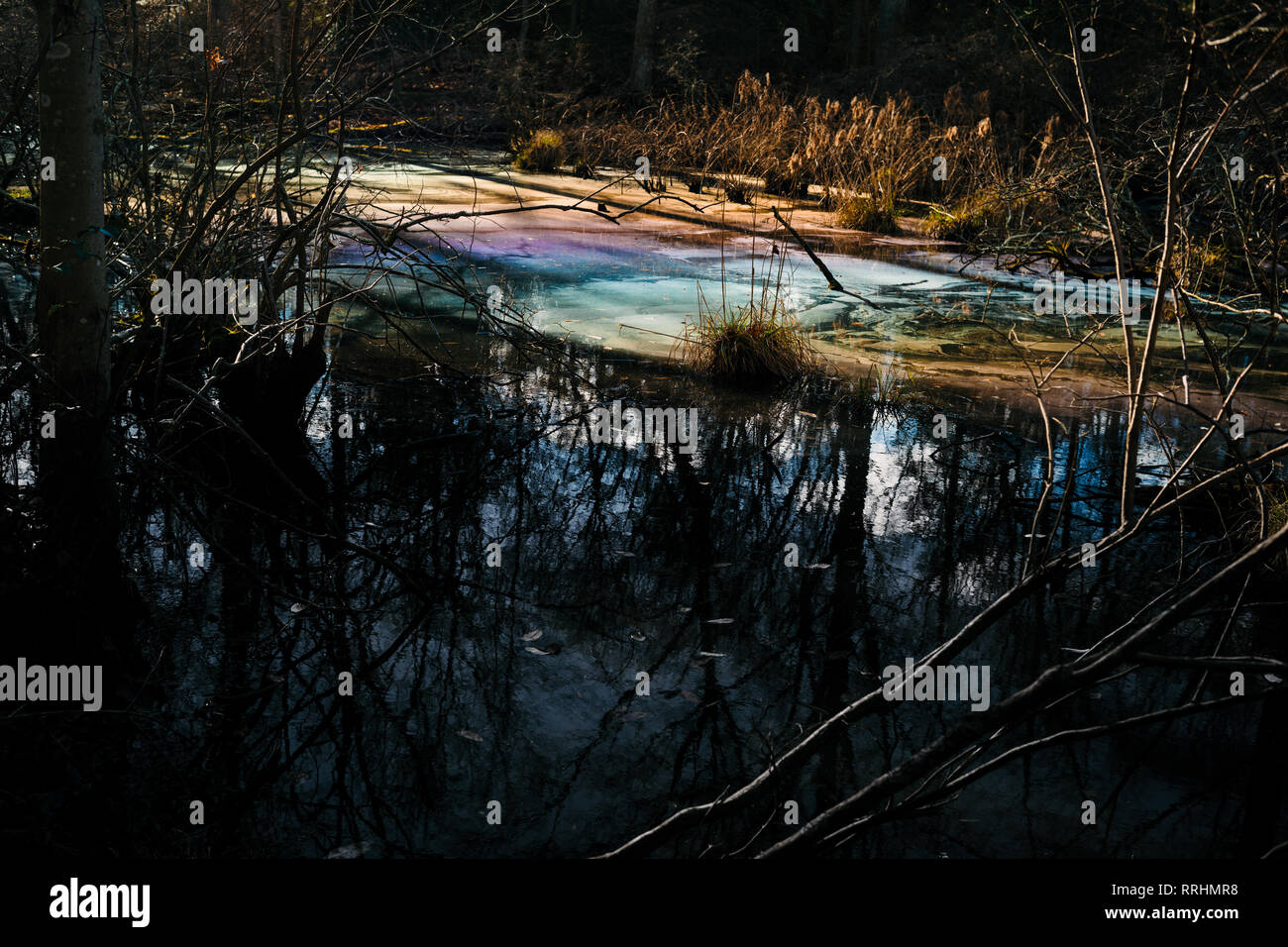 Colorful toxic water pollution in wetland environmental hazard environment. Stock Photo