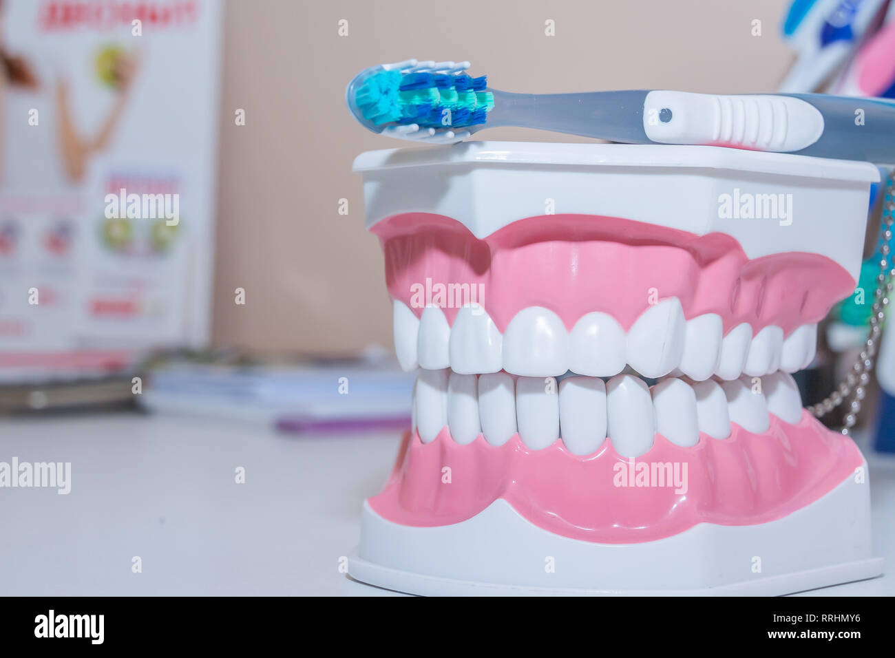 teeth model and dental tool on white background.Healthy care concept ...